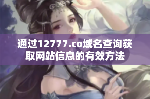 通过12777.co域名查询获取网站信息的有效方法