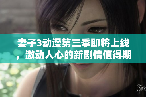 妻子3动漫第三季即将上线，激动人心的新剧情值得期待！