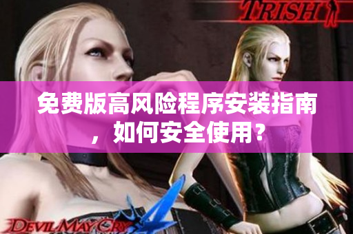 免费版高风险程序安装指南，如何安全使用？