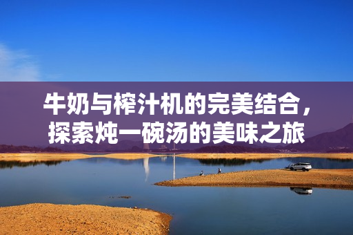 牛奶与榨汁机的完美结合，探索炖一碗汤的美味之旅