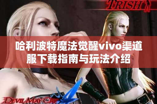 哈利波特魔法觉醒vivo渠道服下载指南与玩法介绍