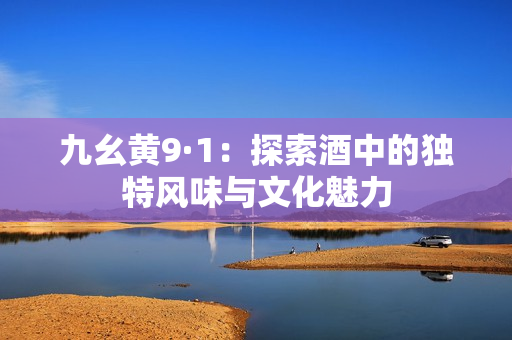 九幺黄9·1：探索酒中的独特风味与文化魅力
