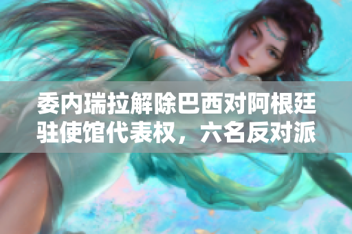 委内瑞拉解除巴西对阿根廷驻使馆代表权，六名反对派获庇护