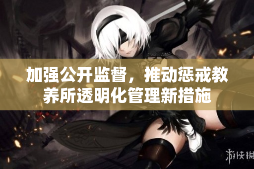 加强公开监督，推动惩戒教养所透明化管理新措施