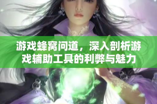 游戏蜂窝问道，深入剖析游戏辅助工具的利弊与魅力