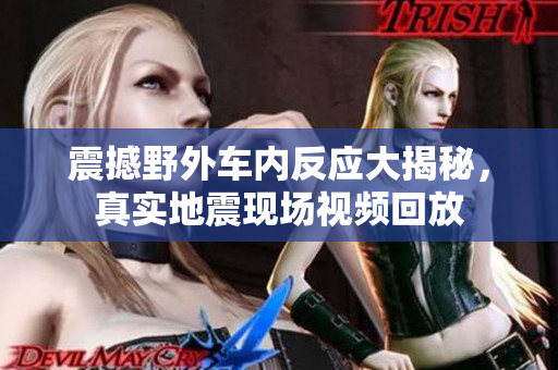 震撼野外车内反应大揭秘，真实地震现场视频回放