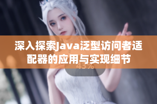 深入探索Java泛型访问者适配器的应用与实现细节