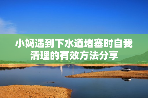 小妈遇到下水道堵塞时自我清理的有效方法分享