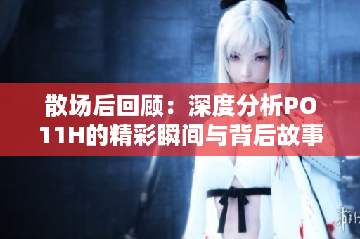 散场后回顾：深度分析PO11H的精彩瞬间与背后故事