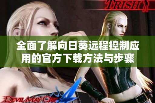 全面了解向日葵远程控制应用的官方下载方法与步骤