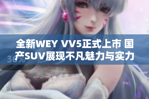 全新WEY VV5正式上市 国产SUV展现不凡魅力与实力